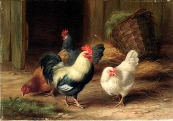 unknow artist Cocks 078 France oil painting art